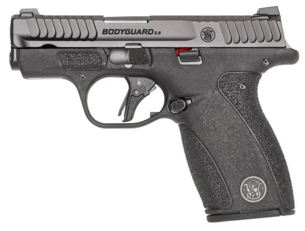 BODYGUARD 2.0 380ACP 12+1 NTS
