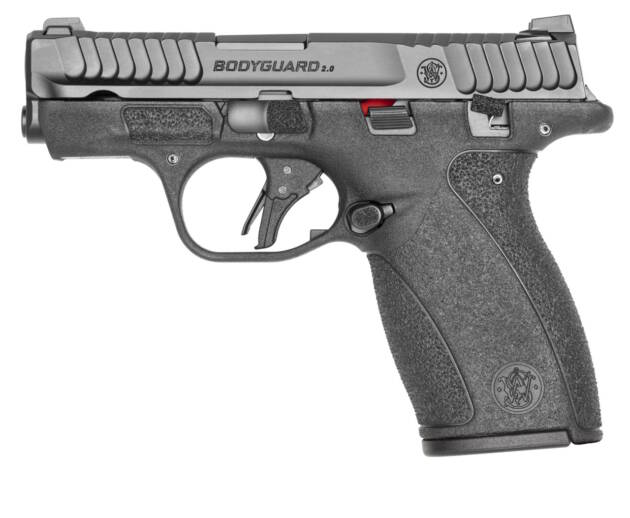 BODYGUARD 2.0 380ACP 10+1 TS