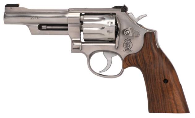 617 MOUNTAIN GUN 22LR 4" SS
