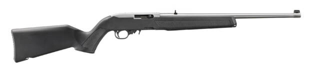 10/22 CARB 22LR SS/SYN 18.5"