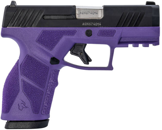 GX2 9MM BLK/PURPLE 3.3" 13+1