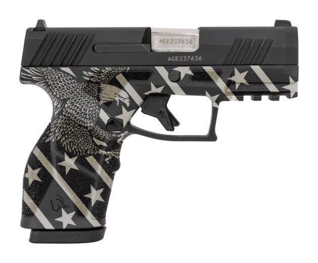 GX2 9MM BLK/EAGLE 3.3" 13+1