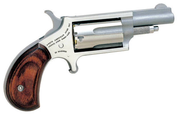 MINI 22MAG REV 1-5/8" SS