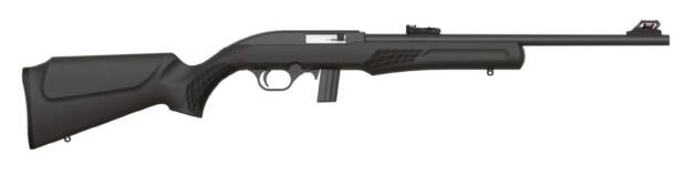 RS22 22LR BLK/SYN 18" 10+1
